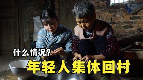 回村那些事,揭秘乡村变迁与时代印记