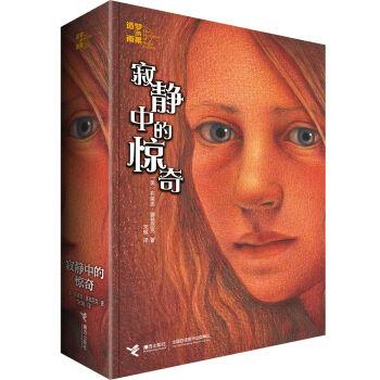 寂静中的惊奇,揭秘神秘事件的背后真相